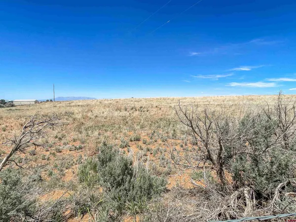 $400,000 | 175 County Road, Egnar, CO 81325