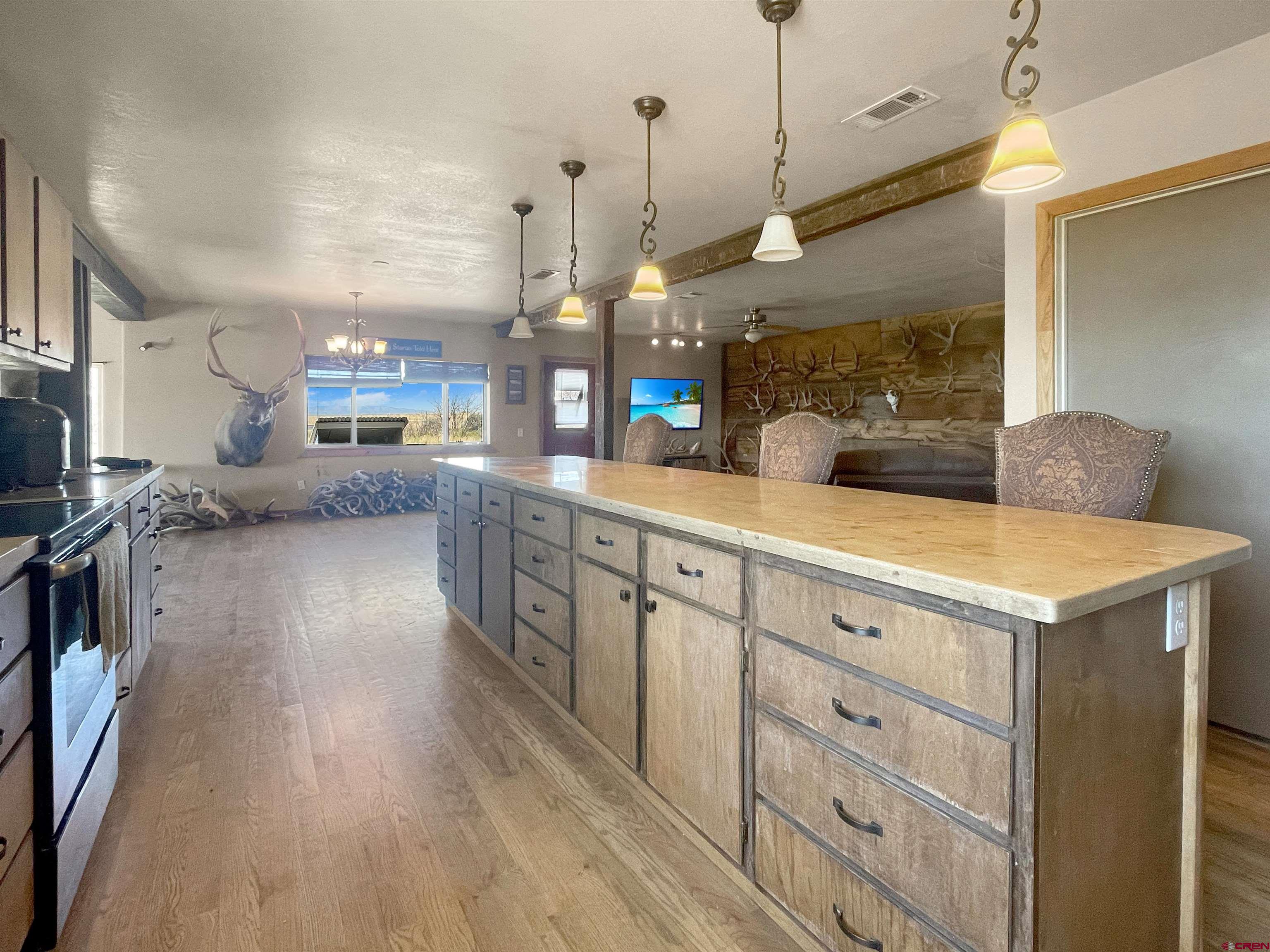 175 County Road Egnar, CO 81325 - Photo 7 of 30 a kitchen with counter top space and wooden floor