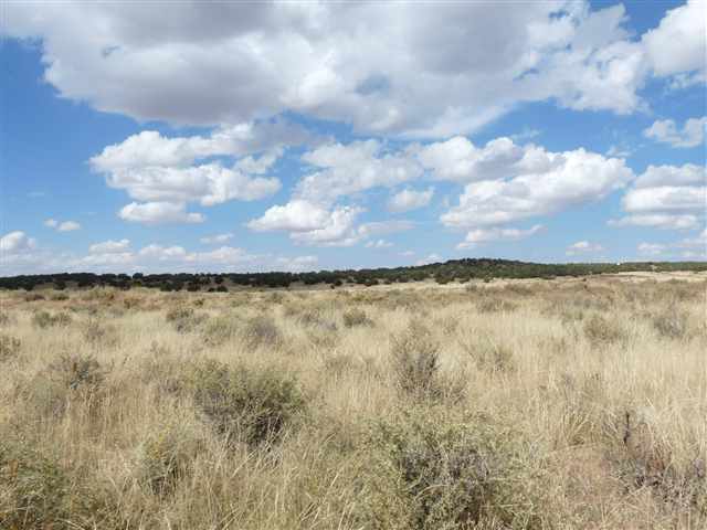 24 Cabola Snowflake, AZ 85937 - Photo 2 of 9