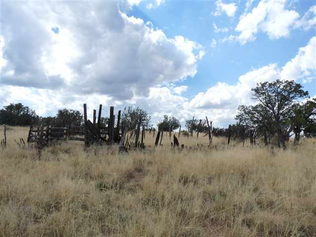 24 Cabola Snowflake, AZ 85937 - Photo 3 of 9