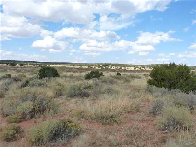 24 Cabola Snowflake, AZ 85937 - Photo 4 of 9