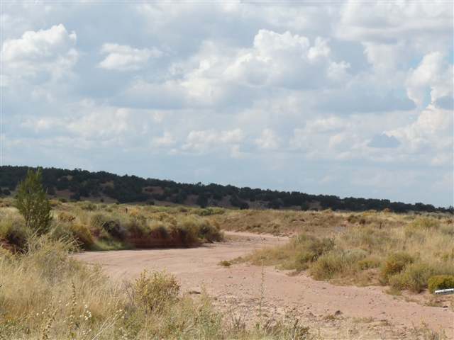24 Cabola Snowflake, AZ 85937 - Photo 5 of 9