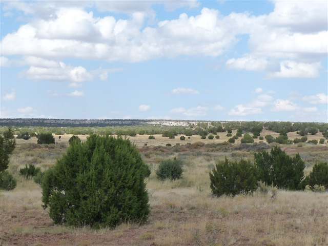 24 Cabola Snowflake, AZ 85937 - Photo 7 of 9