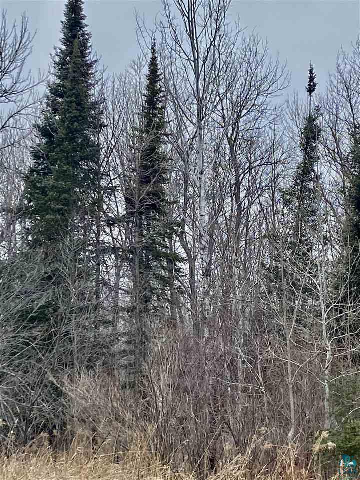 0 Gulley Road Maple, WI 54854 - Photo 6 of 7