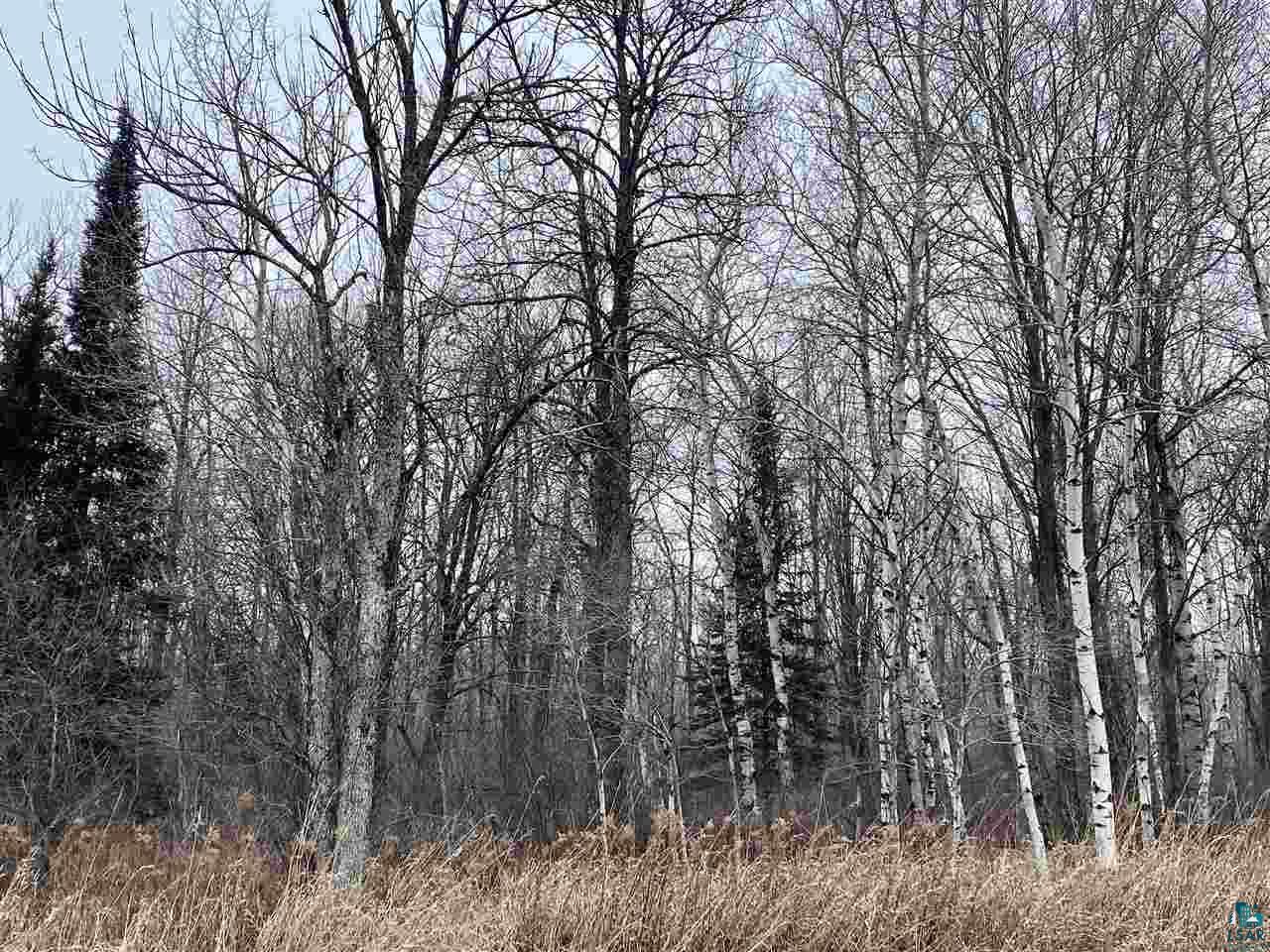 0 Gulley Road Maple, WI 54854 - Photo 7 of 7