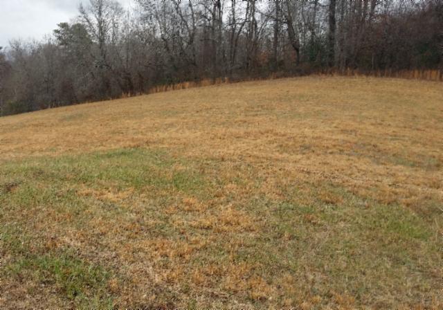 83-ac Cooper Road Alpine, TN 38543 - Photo 1 of 6 01