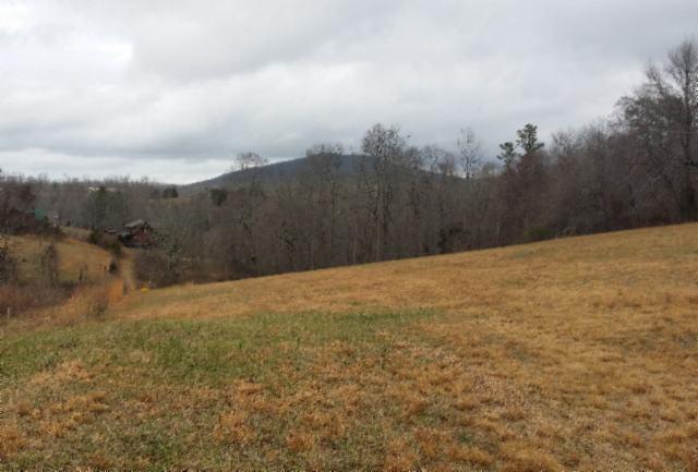 83-ac Cooper Road Alpine, TN 38543 - Photo 3 of 6 03