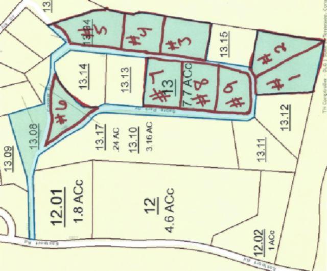 83-ac Cooper Road Alpine, TN 38543 - Photo 6 of 6 06 Plat Map All Lots