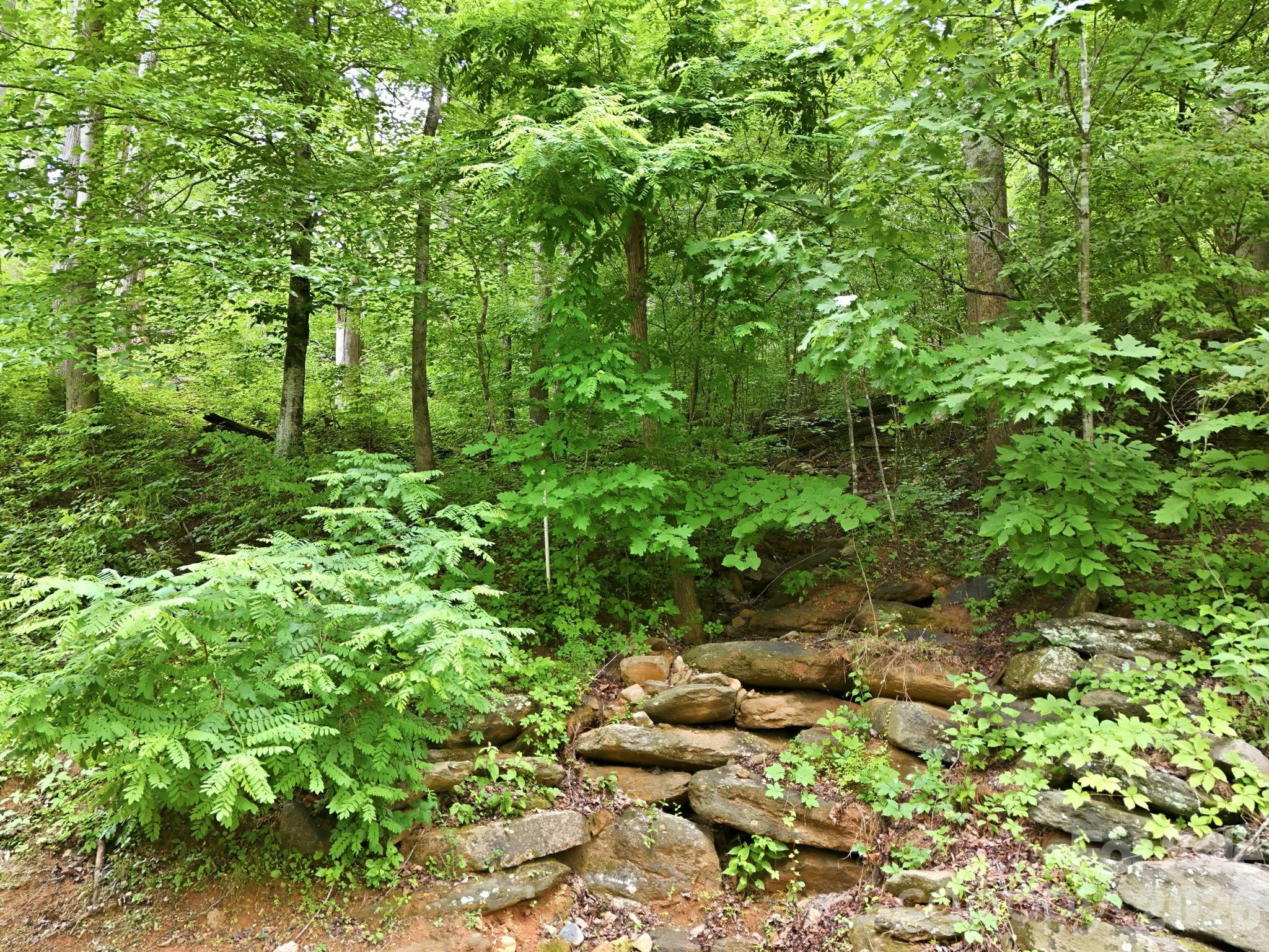 9999 Blue Ridge Drive South Marion, NC 28752 - Photo 8 of 17