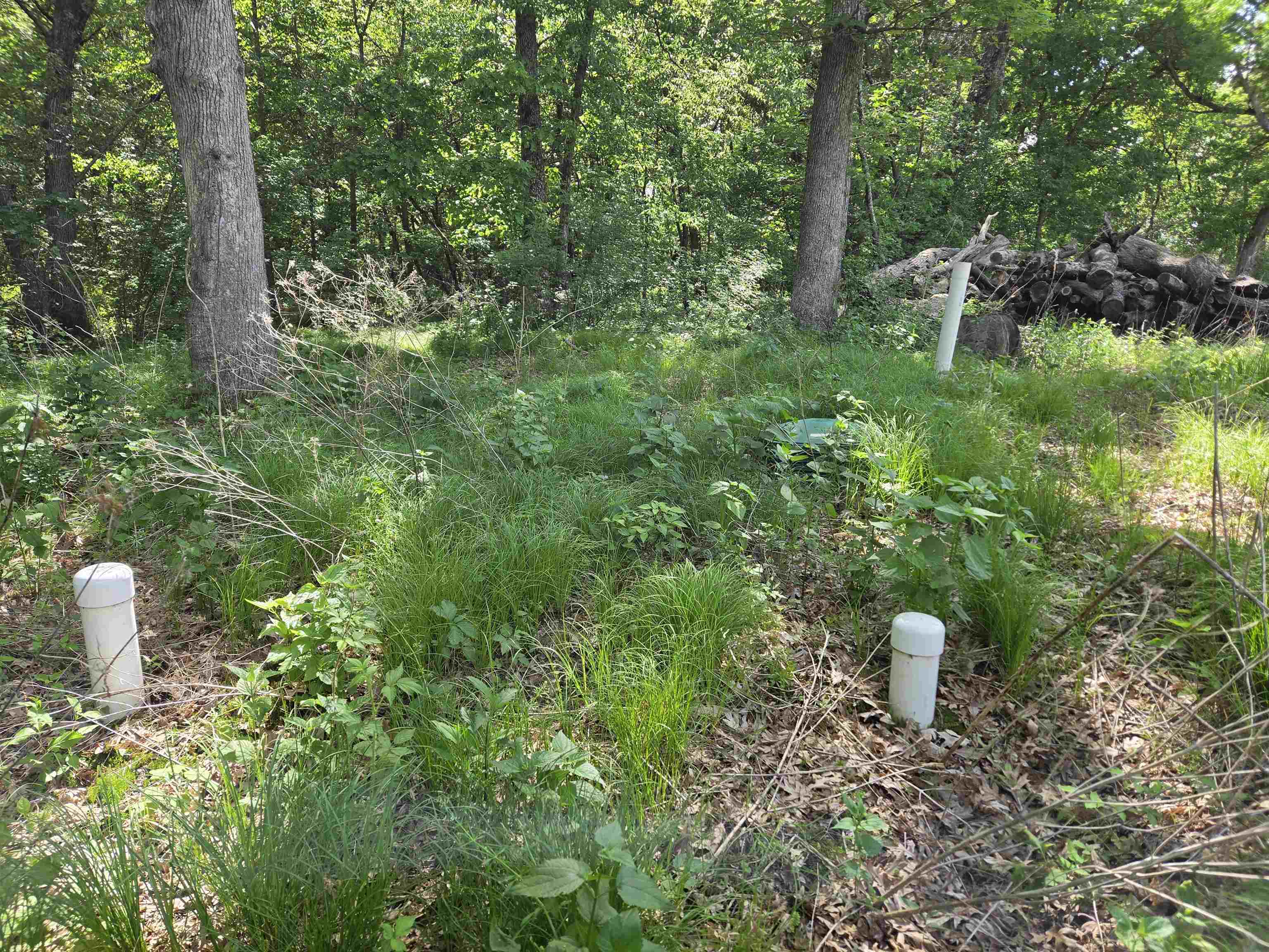 N14672 Porter Road Nekoosa, WI 54457 - Photo 20 of 51