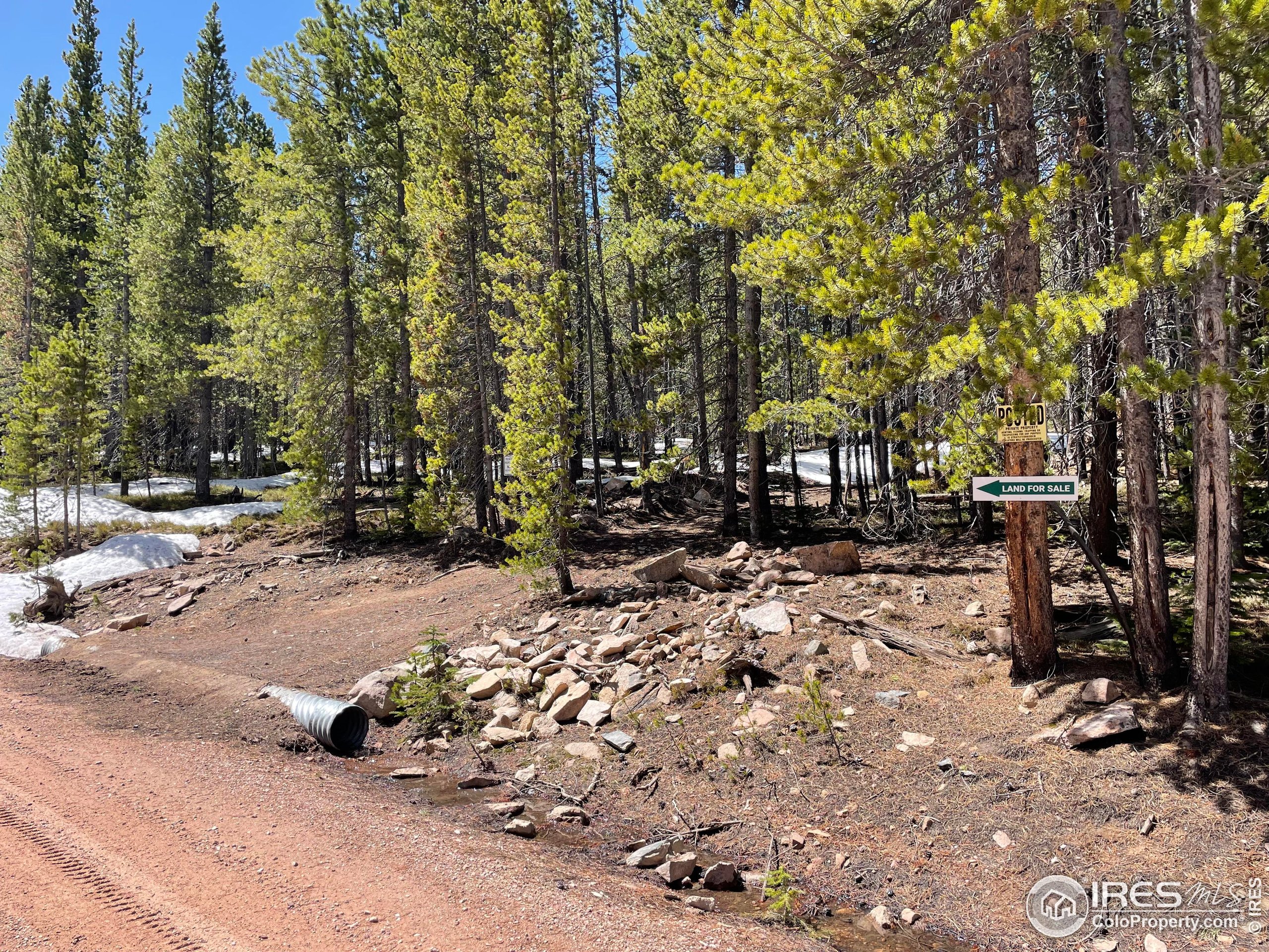 0 Forest Service 169 Road, Unit PARCEL #3 Red Feather Lakes, CO 80545 - Photo 11 of 16