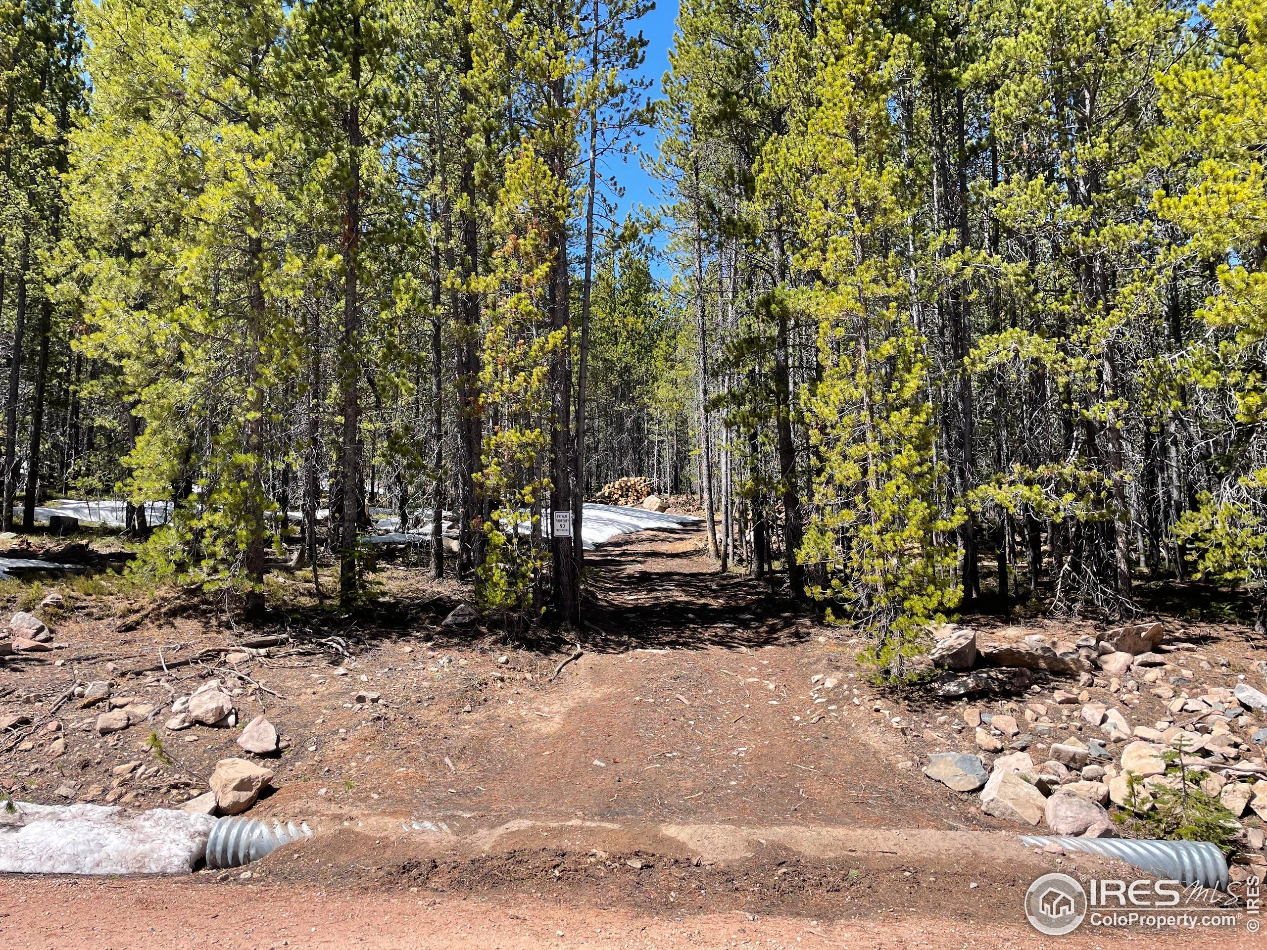 0 Forest Service 169 Road, Unit PARCEL #3 Red Feather Lakes, CO 80545 - Photo 12 of 16