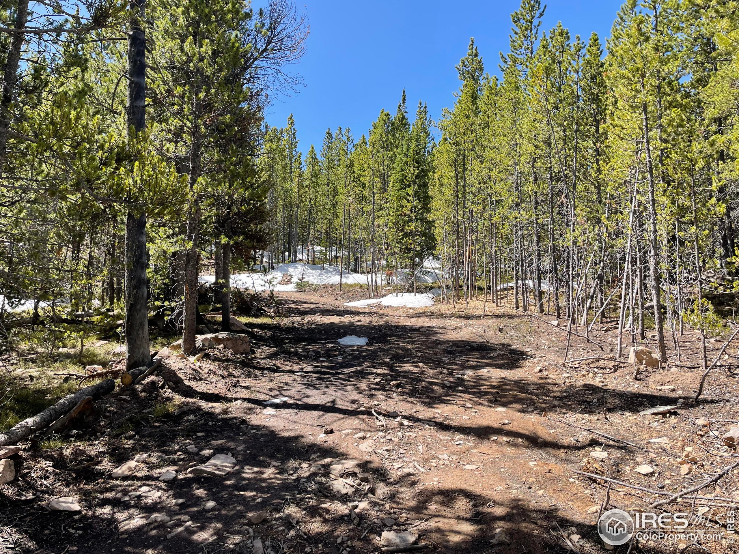 0 Forest Service 169 Road, Unit PARCEL #3 Red Feather Lakes, CO 80545 - Photo 13 of 16