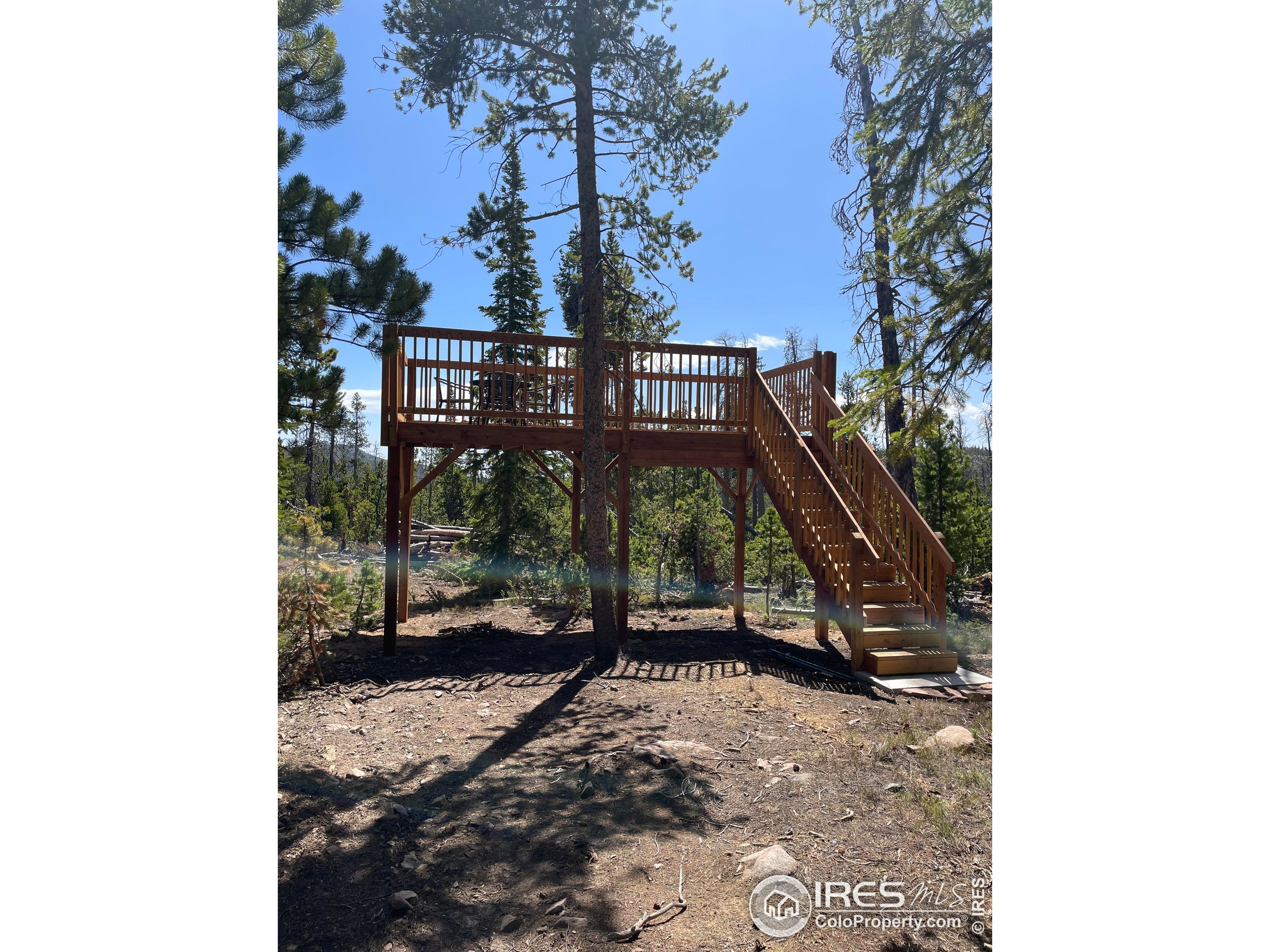 0 Forest Service 169 Road, Unit PARCEL #3 Red Feather Lakes, CO 80545 - Photo 15 of 16