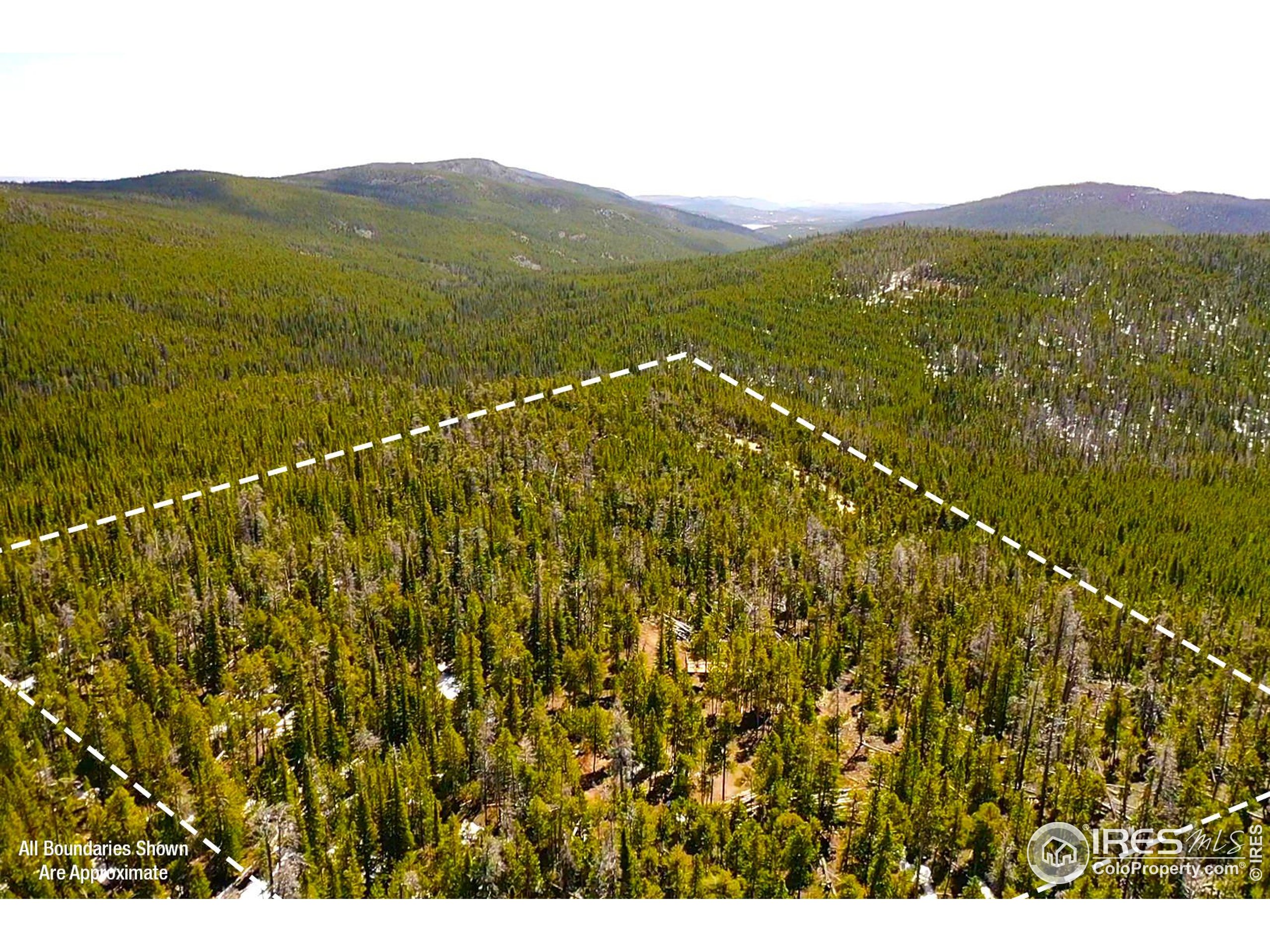 0 Forest Service 169 Road, Unit PARCEL #3 Red Feather Lakes, CO 80545 - Photo 16 of 16