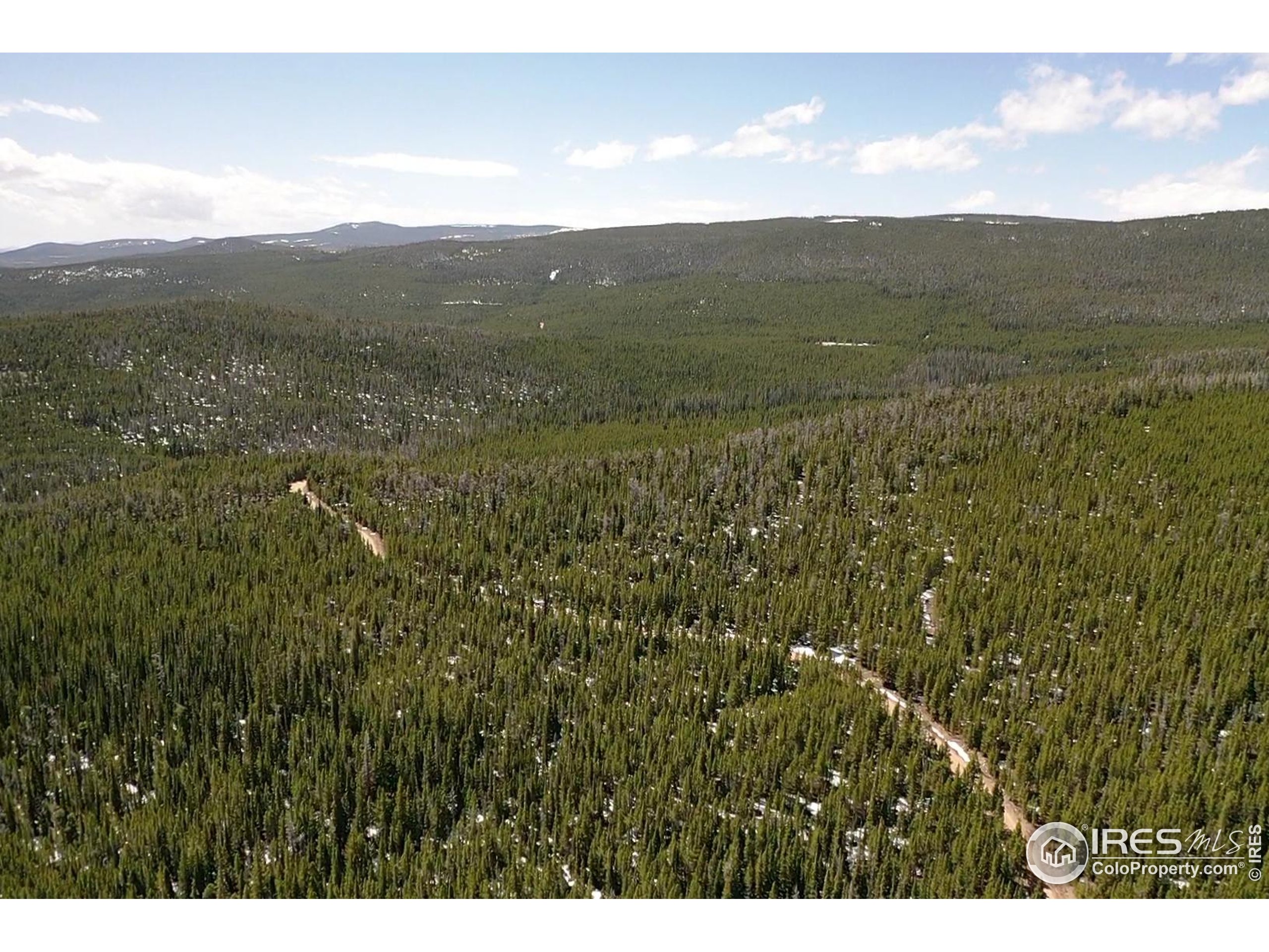 0 Forest Service 169 Road, Unit PARCEL #3 Red Feather Lakes, CO 80545 - Photo 2 of 16