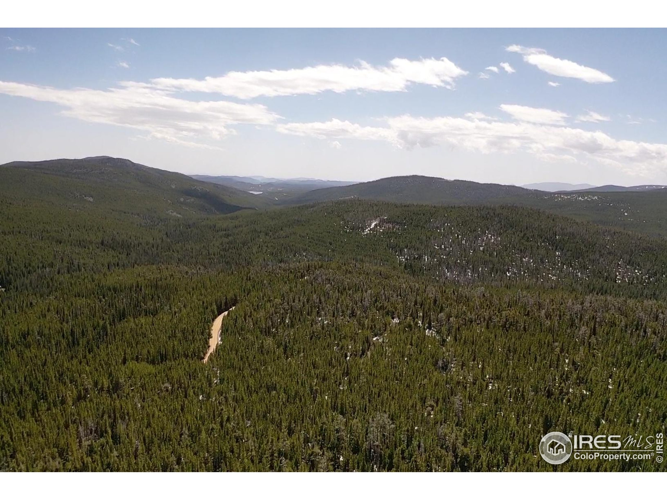 0 Forest Service 169 Road, Unit PARCEL #3 Red Feather Lakes, CO 80545 - Photo 8 of 16