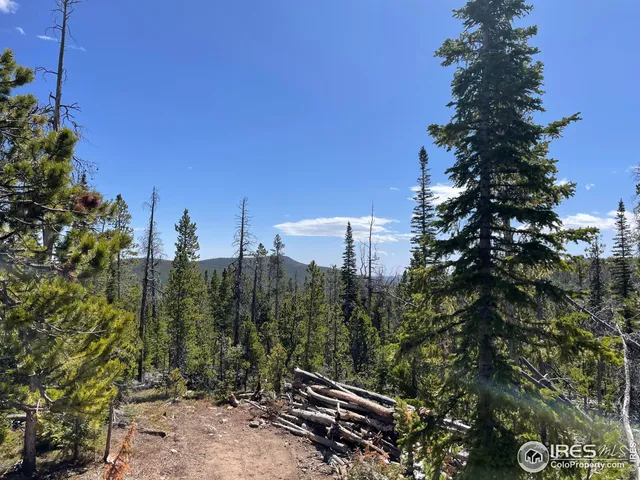 $320,000 | 0 Forest Service 169 Road, Unit PARCEL #3, Red Feather Lakes, CO 80545