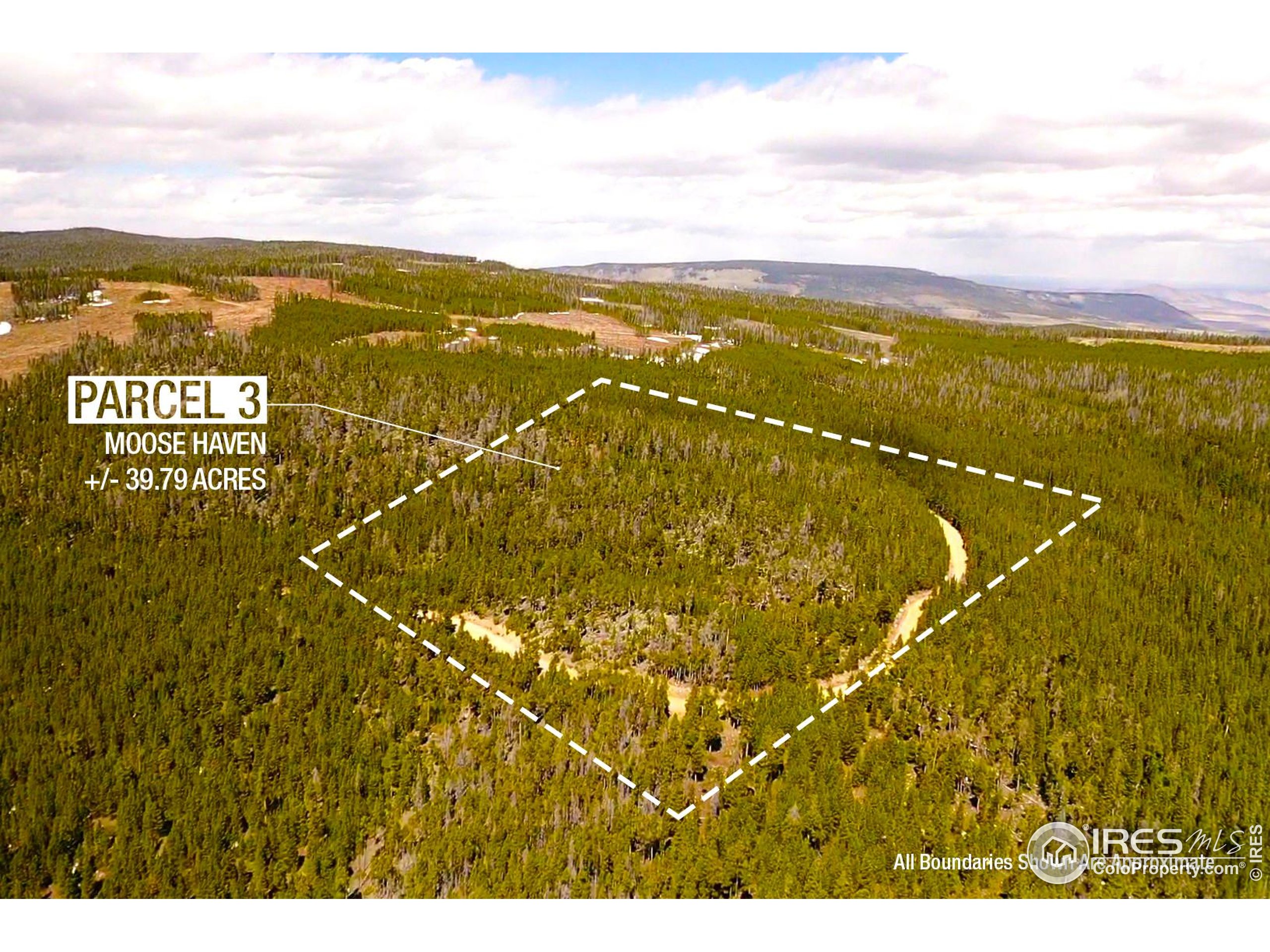 0 Forest Service 169 Road, Unit PARCEL #3 Red Feather Lakes, CO 80545 - Photo 10 of 16