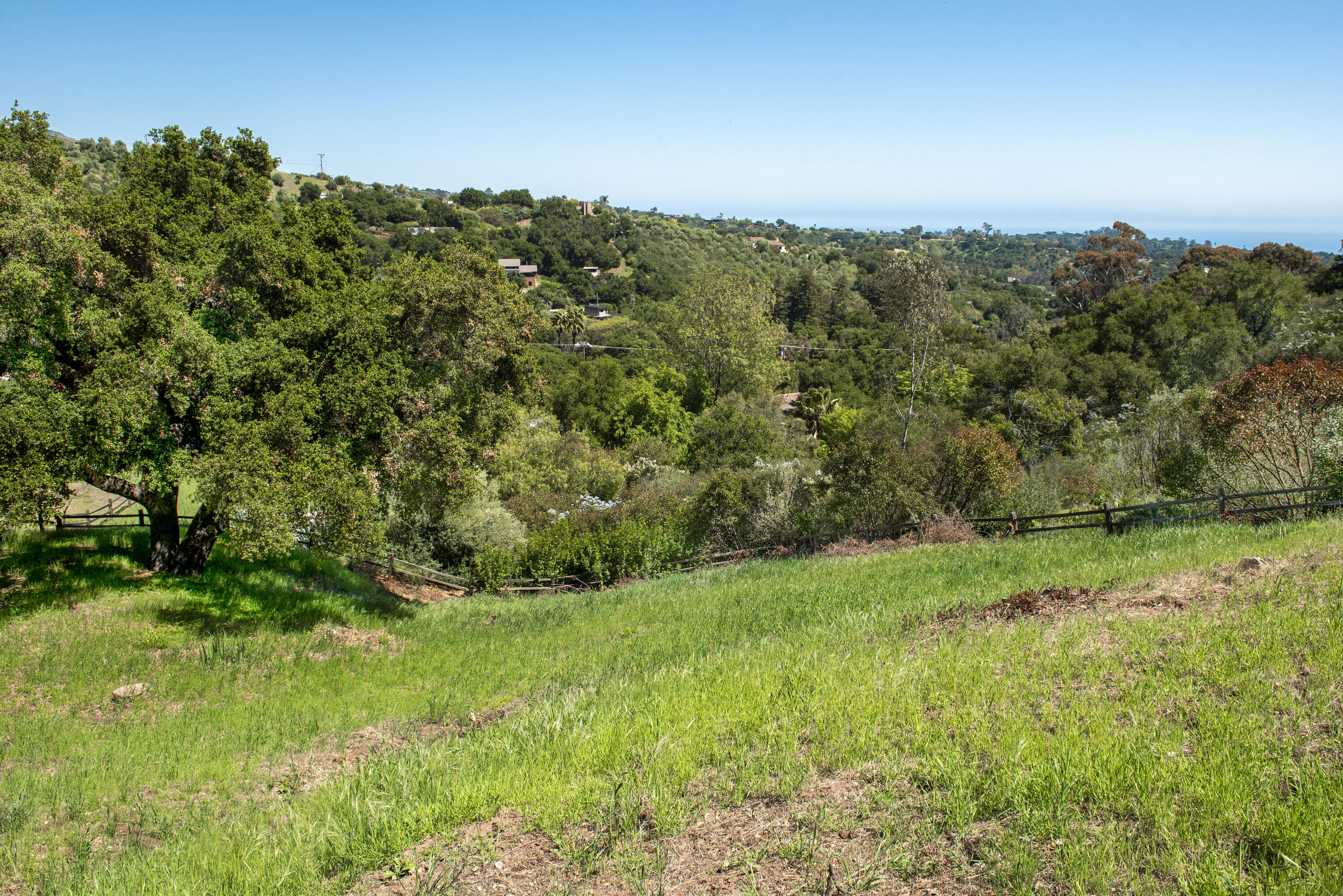 1433 Tunnel Road Santa Barbara, CA 93105 - Photo 3 of 10 a view of a yard with a tree