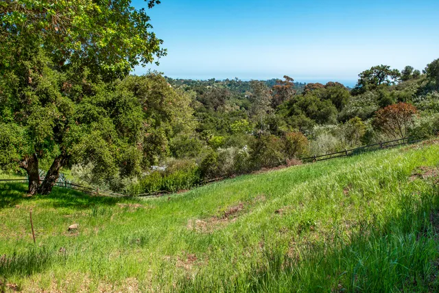 a view of a lush green space