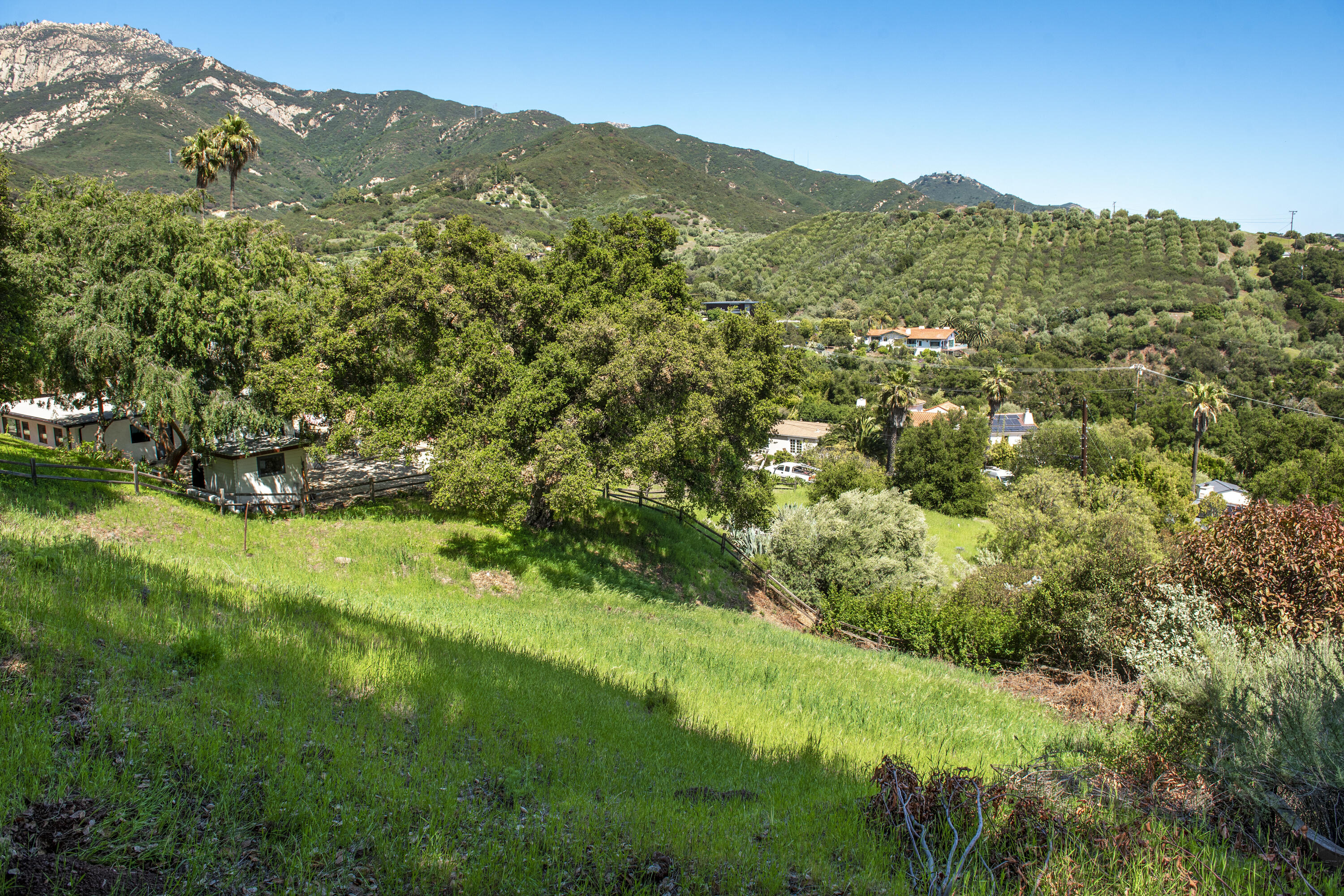 1433 Tunnel Road Santa Barbara, CA 93105 - Photo 5 of 10 a view of a lush green field with a mountain in the background