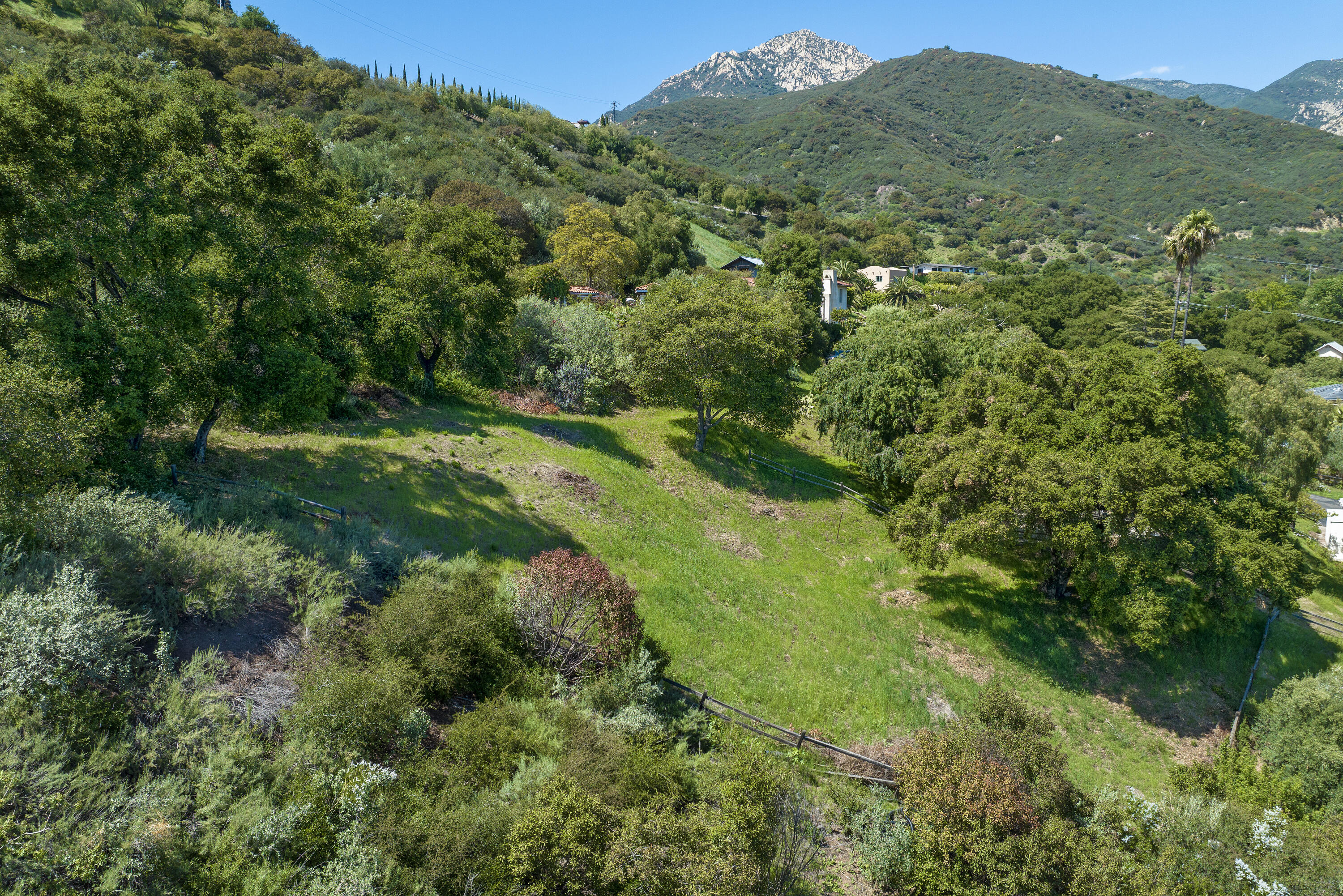 1433 Tunnel Road Santa Barbara, CA 93105 - Photo 7 of 10 a view of a lush green forest with lush green forest