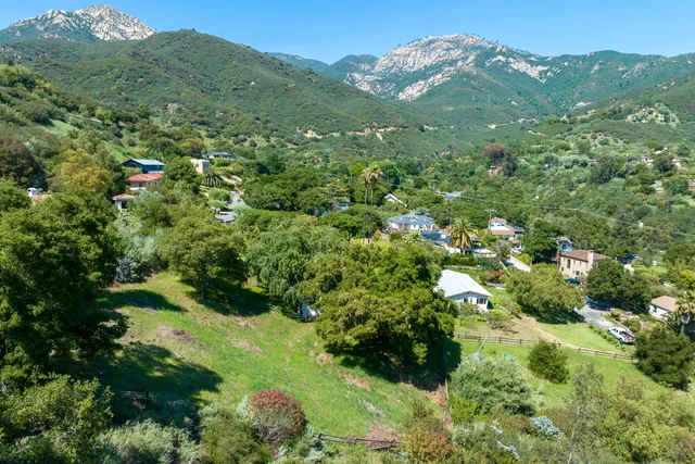 a view of a lush green forest with mountains in the background