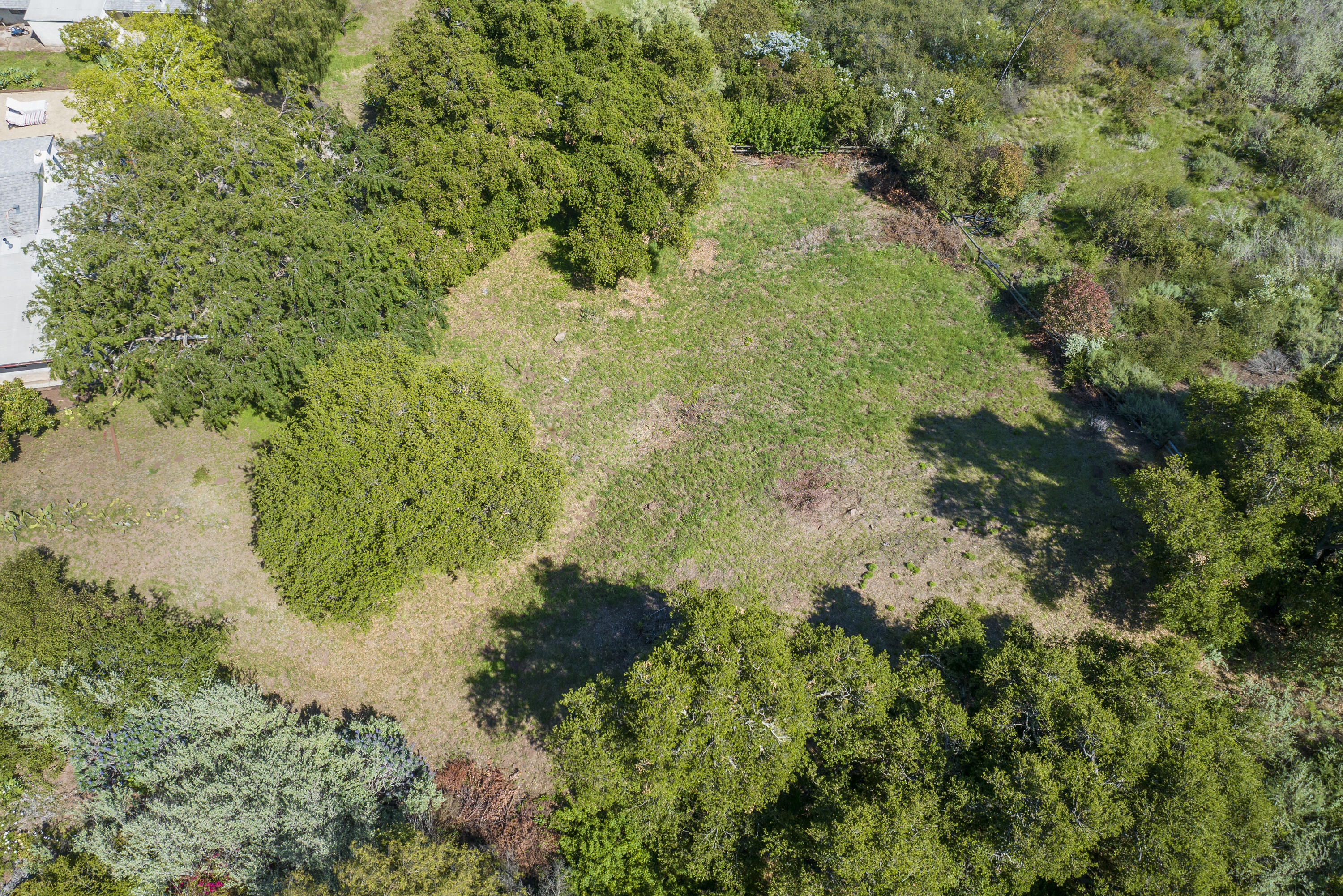 1433 Tunnel Road Santa Barbara, CA 93105 - Photo 10 of 10 a view of a garden