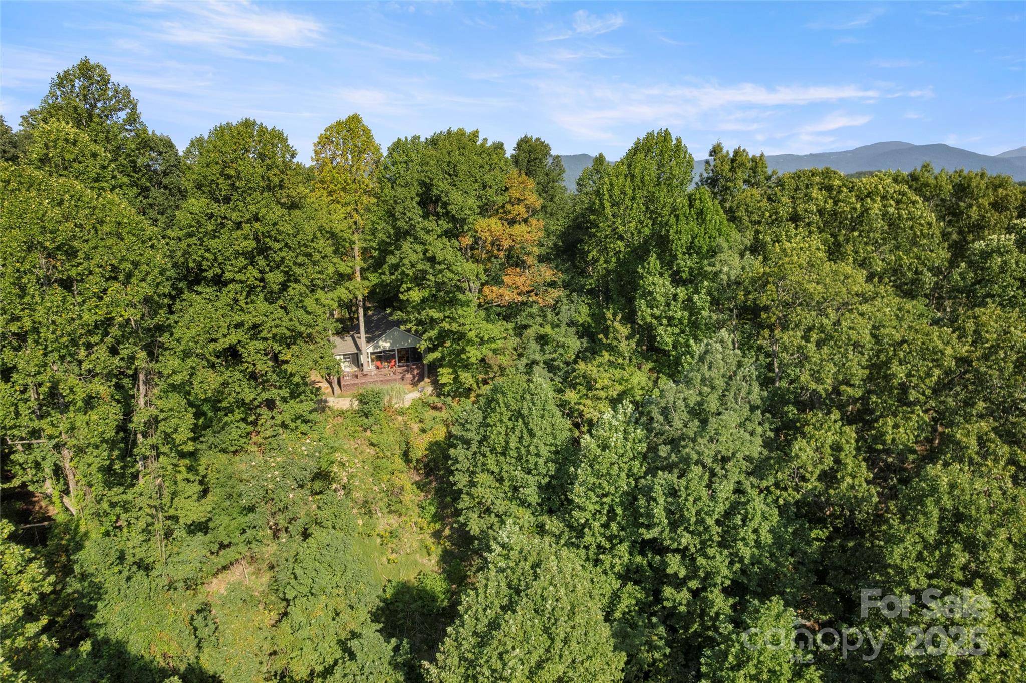 31 Piney Rdg Lane, Unit 27 Saluda, NC 28773 - Photo 27 of 36