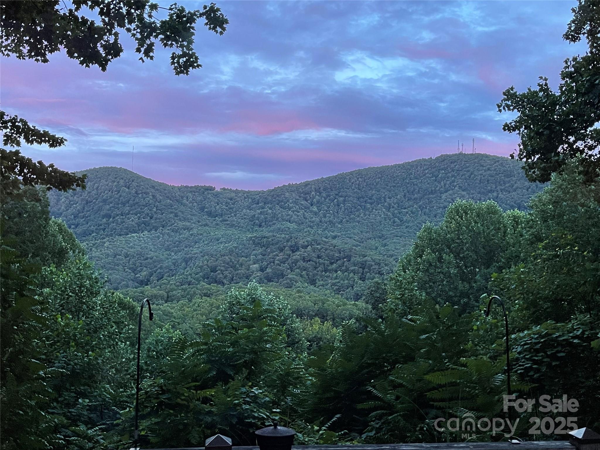 31 Piney Rdg Lane, Unit 27 Saluda, NC 28773 - Photo 30 of 36 a view of a city with lots of residential buildings green landscape and mountain view