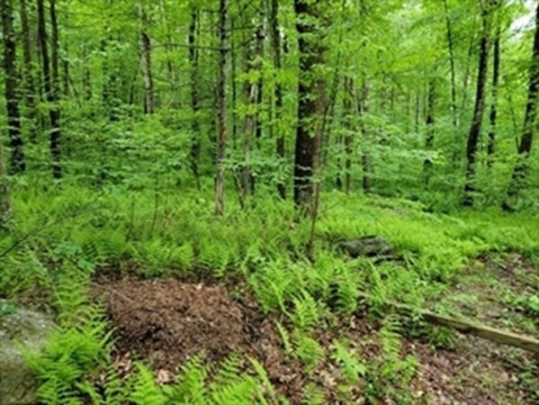 0 Muddy Brook Road Hardwick, MA 01037 - Photo 8 of 10 Gallery Image 8