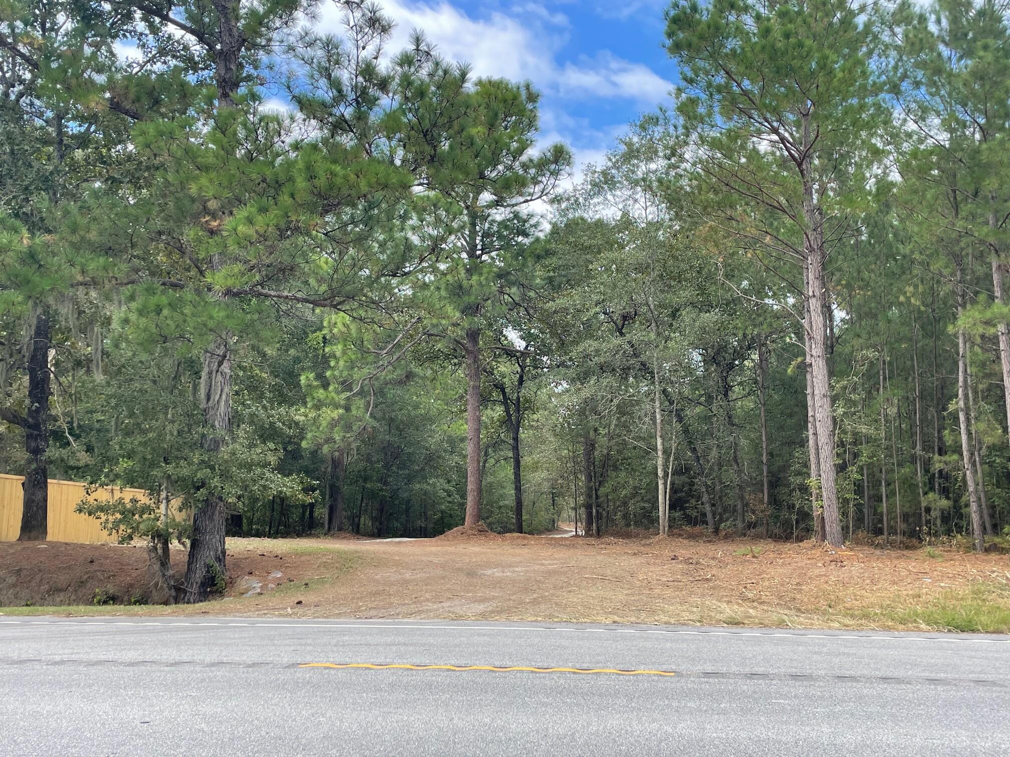 0 Hwy 45 Cross Sc 29436 Cross, SC 29436 - Photo 2 of 12 IMG_8086