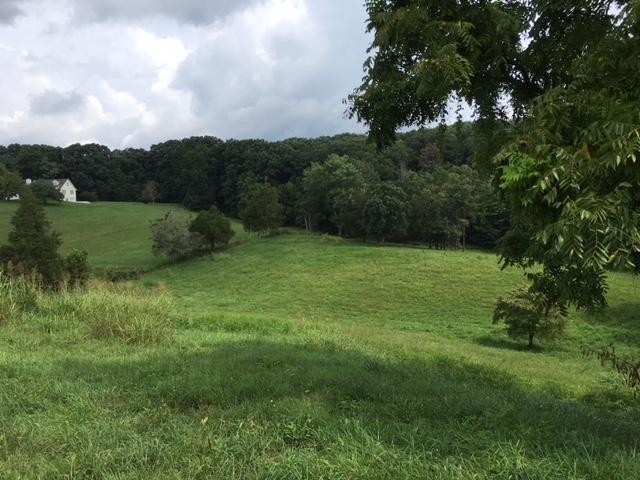 8314 Coppock Road Corryton, TN 37721 - Photo 13 of 29 a view of building with green space