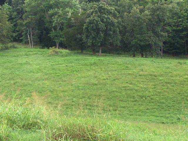 8314 Coppock Road Corryton, TN 37721 - Photo 14 of 29 a view of outdoor space with deck and yard