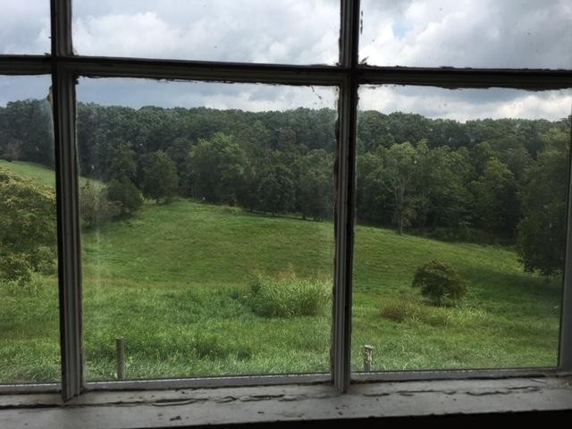 8314 Coppock Road Corryton, TN 37721 - Photo 28 of 29 a view of a yard from a window