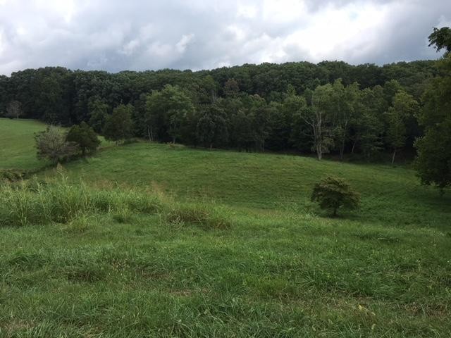 8314 Coppock Road Corryton, TN 37721 - Photo 29 of 29 a view of a grassy field with trees