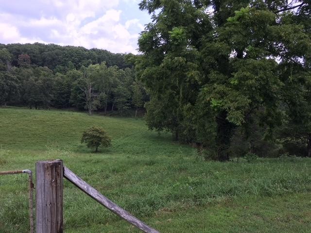 8314 Coppock Road Corryton, TN 37721 - Photo 8 of 29 a view of a field of grass and trees