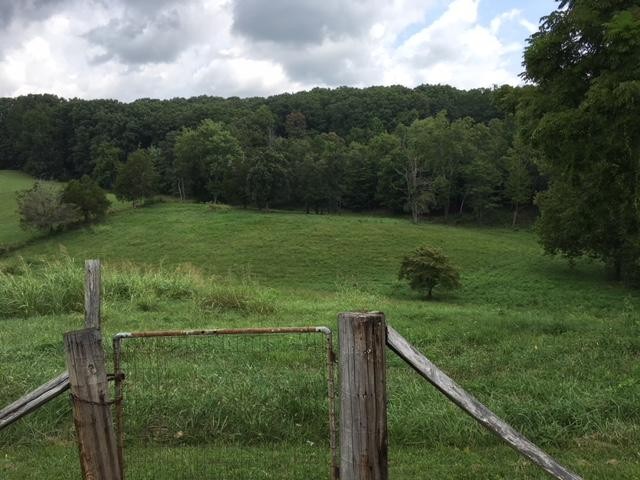 8314 Coppock Road Corryton, TN 37721 - Photo 9 of 29 a view of a grassy area