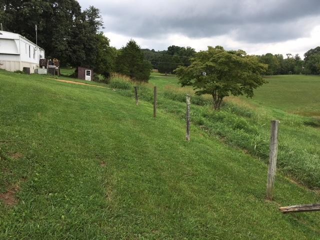8314 Coppock Road Corryton, TN 37721 - Photo 10 of 29 a view of a grassy area with an trees