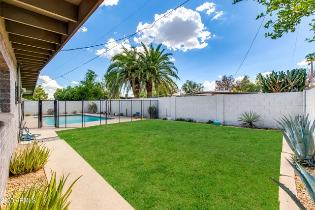 a view of a backyard with a garden and plants