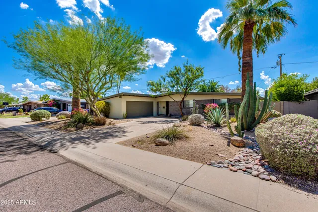 a palm tree sitting in front of a house with a yard