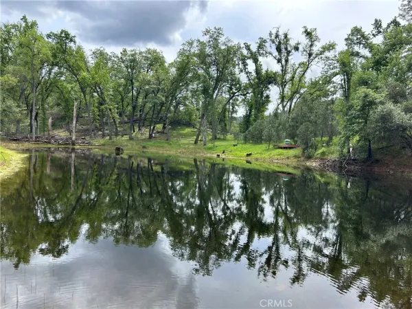 a view of a lake with a trees