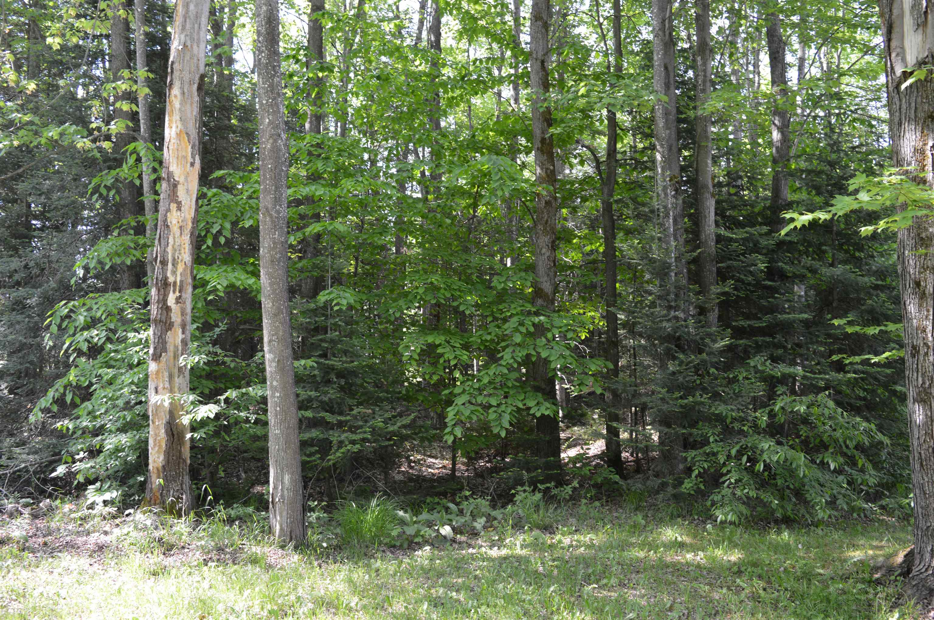 6166 Butler Road Southwest South Boardman, MI 49680 - Photo 19 of 36 1900433-18.JPG