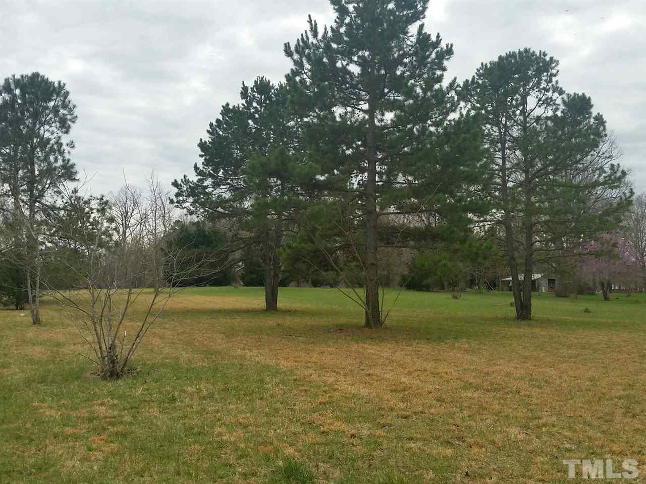 9357 Highway 57 Rougemont, NC 27572 - Photo 3 of 10