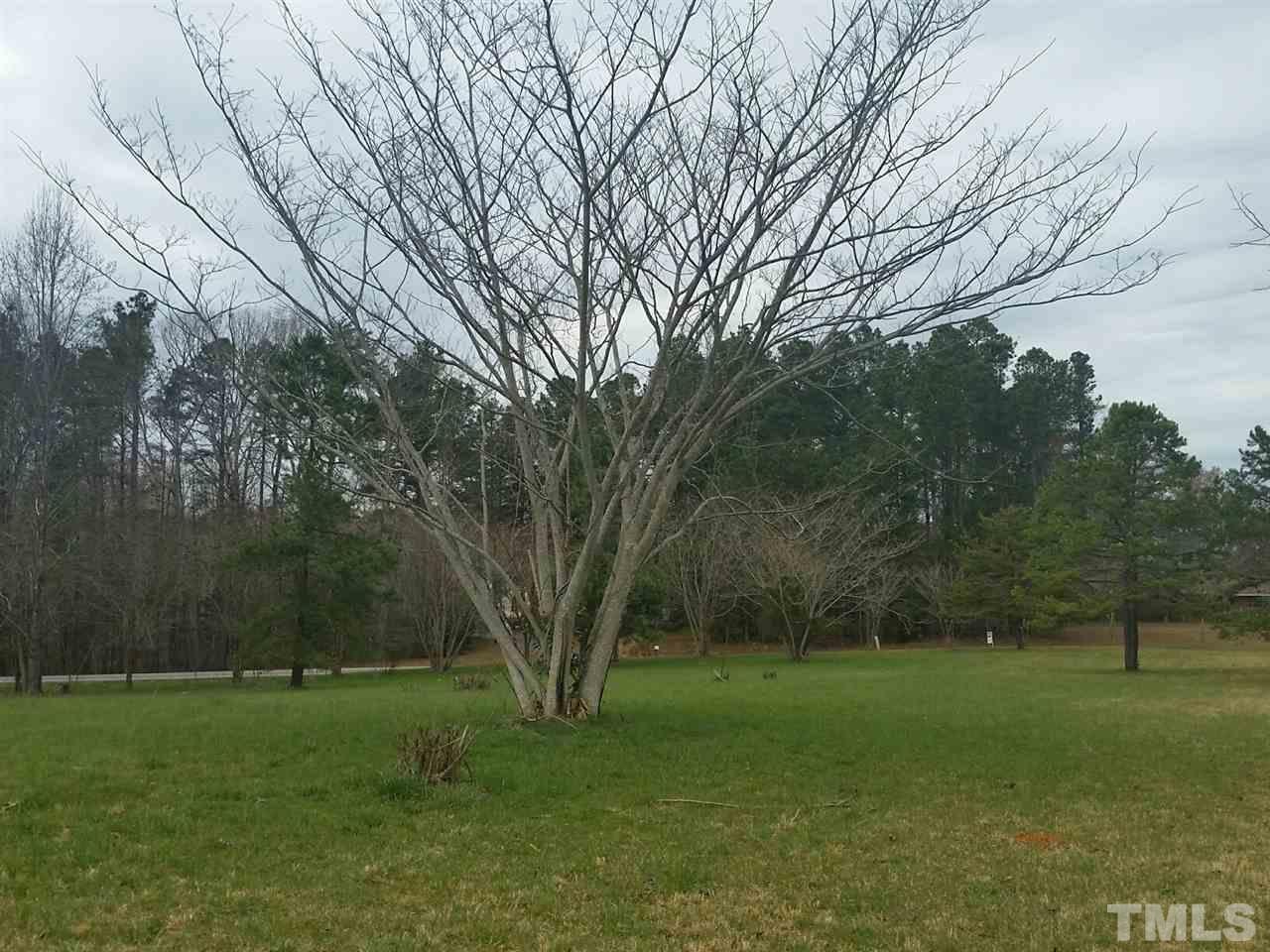 9357 Highway 57 Rougemont, NC 27572 - Photo 8 of 10