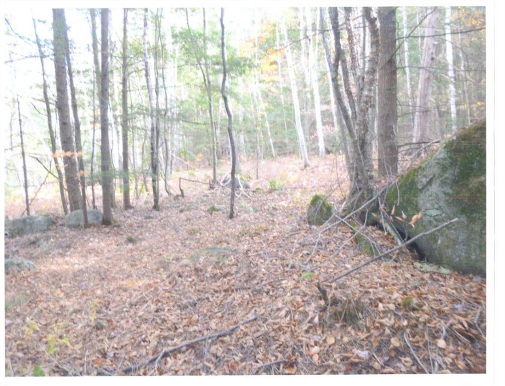 Lot 23 Locke Pond Road Chesterville, ME 04938 - Photo 3 of 3 Photo