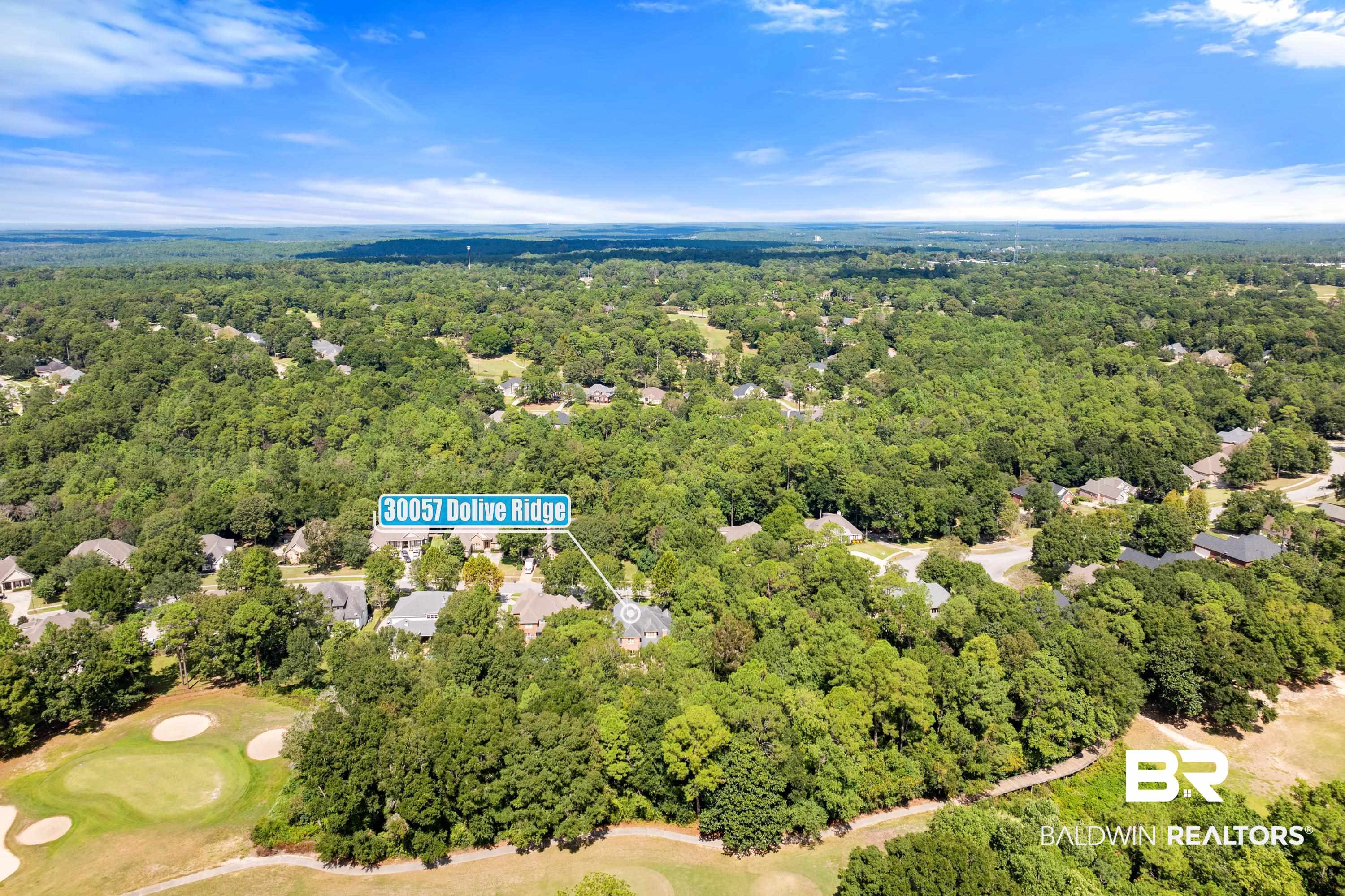 30057 Dolive Ridge Daphne, AL 36527 - Photo 51 of 55 Bird's eye view