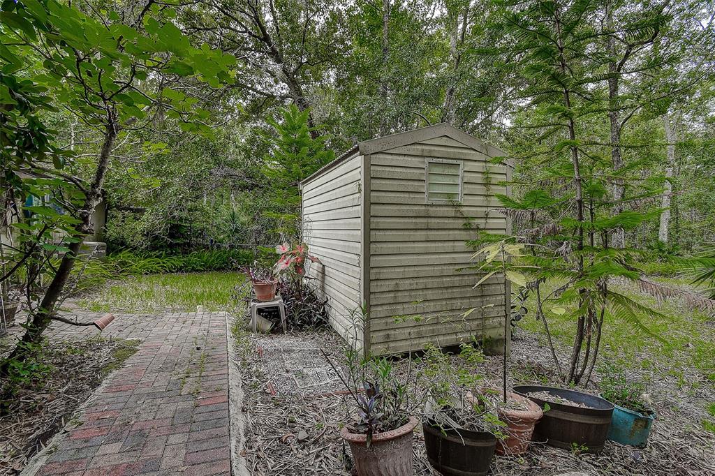 7323 Ray Browning Road Brooksville, FL 34601 - Photo 26 of 46 a backyard of a house with lots of green space