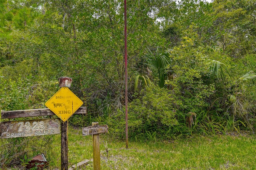7323 Ray Browning Road Brooksville, FL 34601 - Photo 29 of 46 a view of swimming pool from a balcony